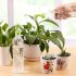 4pc Gardening Flower Growing Supplies Household Pot Watering Machine Creative Watering Flower Watering Can Small Nozzle 2 Tools
