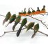 12PCS Robin Bird Christmas Tree Decoration Craft VERY CUTE Artificial