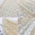 Sequin Bead Tube Mesh Champagne Light Apricot Sequins Chessboard Plaid Decor Mesh Applique Fabric