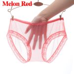 Women's Underwear See Through Lingerie Mesh Briefs Lace Panties Sexy Knickers